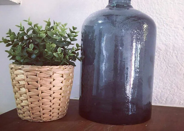 דירה Tropicana Park Fase Iv - Tp110b Planta Baja דניה